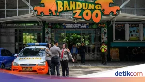 Wali Kota Farhan Ungkap Tiga hingga Empat Calon Berminat Kelola Bandung Zoo, Sinyal Positif untuk Revitalisasi