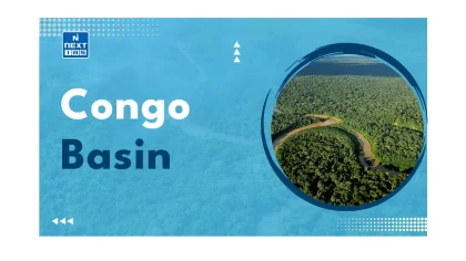 World Bank Luncurkan Rencana US$1,02 Miliar untuk Mengubah Ekonomi Hutan Congo Basin