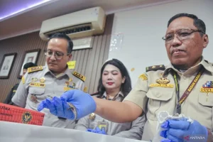 10 Ekor Satwa Liar Diselundupkan dari Thailand ke Indonesia