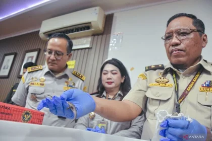 10 Ekor Satwa Liar Diselundupkan dari Thailand ke Indonesia