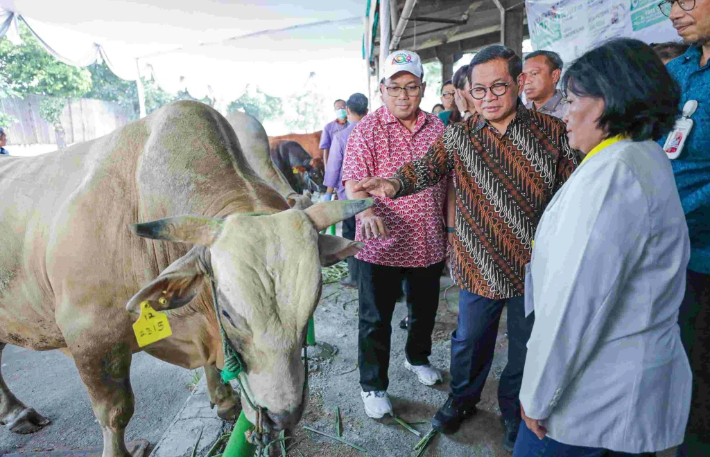 68 Ribu Hewan Kurban Disembelih di Jakarta pada Idul Adha 1447 H