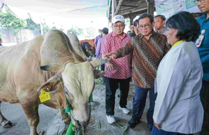 68 Ribu Hewan Kurban Disembelih di Jakarta pada Idul Adha 1447 H