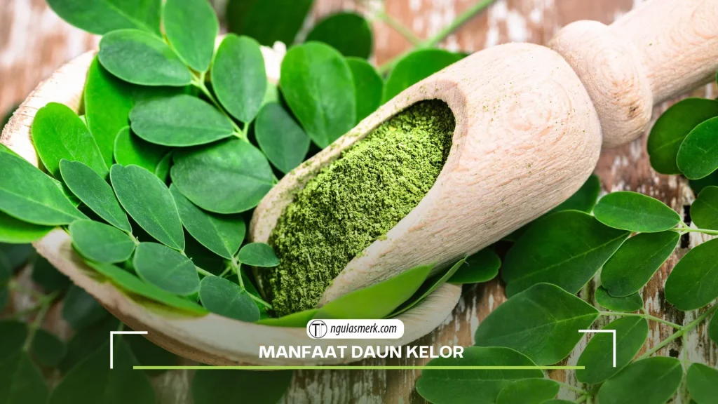7 Manfaat Daun Kelor untuk Turunkan Kadar Gula Darah, Nutrisi Lengkap, dan Kesehatan Tubuh
