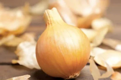 8 Manfaat Bawang Bombai untuk Kesehatan yang Luar Biasa