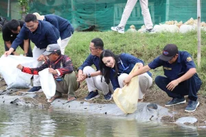 Agrinas Jaladri Salurkan Bantuan Benih Nila Salin Gratis di Subang