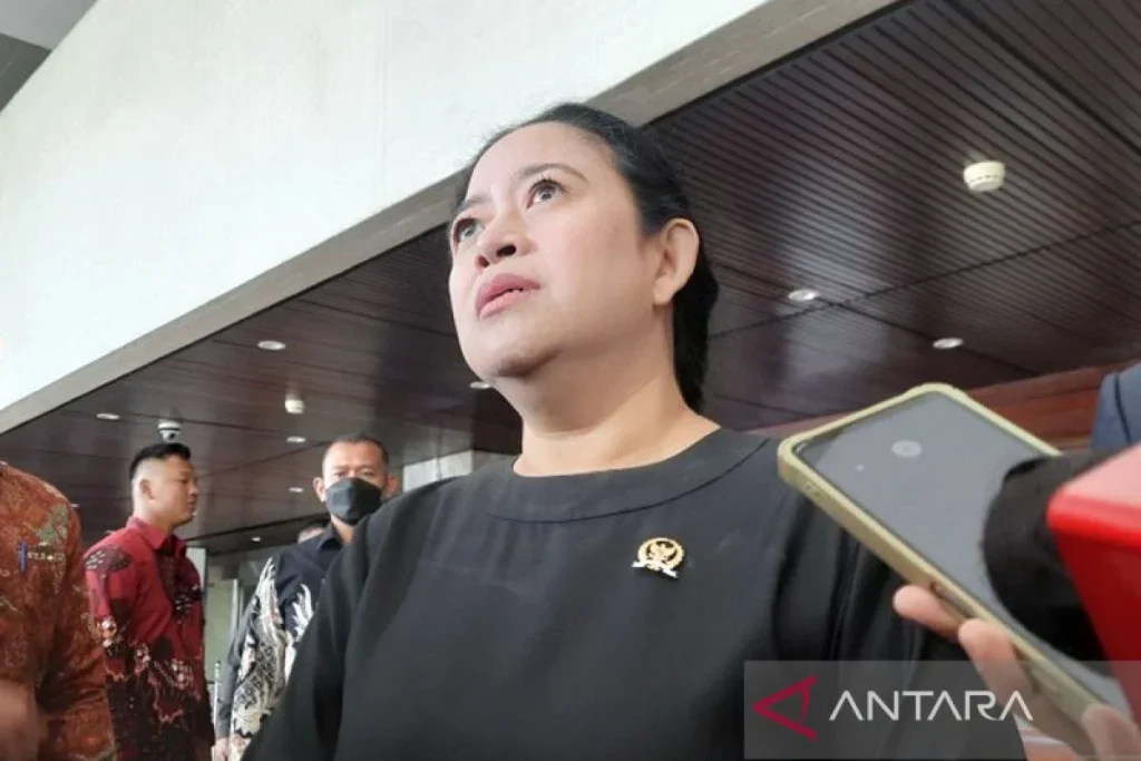 Ancaman Hantavirus: Puan Maharani Ingatkan Kesiapan Layanan Kesehatan