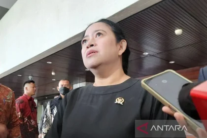 Ancaman Hantavirus: Puan Maharani Ingatkan Kesiapan Layanan Kesehatan