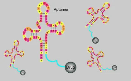 Aptamer: Molekul Mungil yang Mengubah Kedokteran Presisi