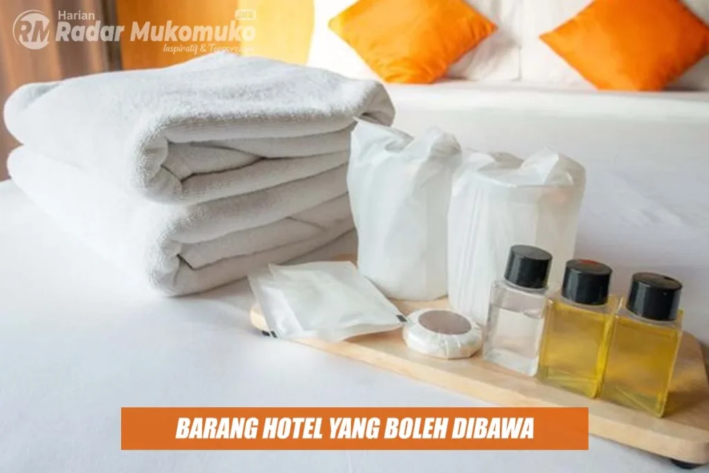 Barang Hotel Boleh Dibawa? Ini Daftar Barang yang Diizinkan dan Dilarang untuk Tamu