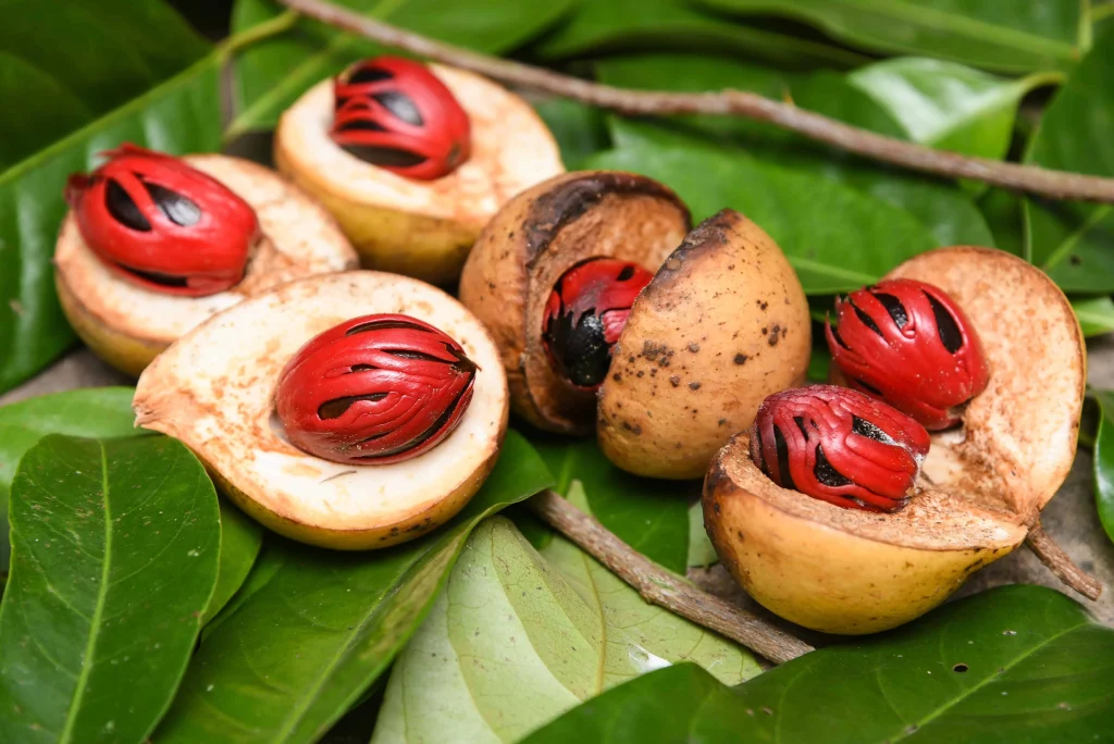 Buah Pala: Bumbu Masak yang Punya Banyak Manfaat