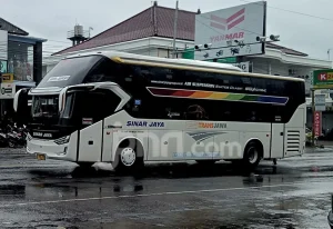 Cek Jadwal dan Harga Tiket Bus AKAP dari Bali ke Pulau Jawa