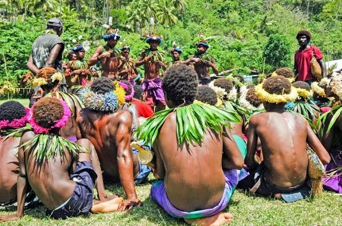 Dandhy Laksono: Fokus pada Isu Tanah Adat Papua Setelah Laporan Mama Sinta