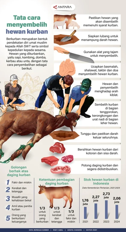 Doa Menyembelih Hewan Kurban Lengkap dan Tata Cara Membacanya
