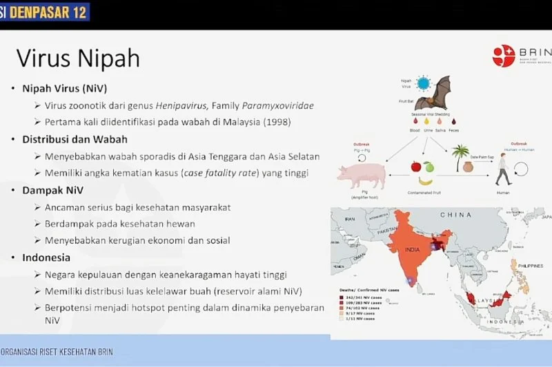 DPR Mendorong Edukasi Massif untuk Cegah Penyebaran Hantavirus di Indonesia