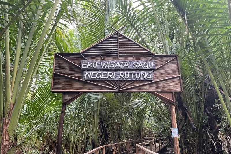 Ekowisata Sagu Rutong dan Tuban Dorong Ekonomi Lokal serta Lindungi Alam