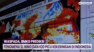 El Nino Diprediksi Menerjang Pertengahan 2026, BMKG Waspada Potensi Karhutla