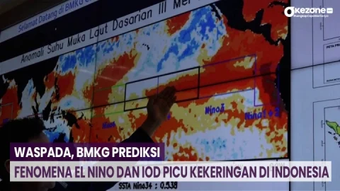 El Nino Diprediksi Menerjang Pertengahan 2026, BMKG Waspada Potensi Karhutla