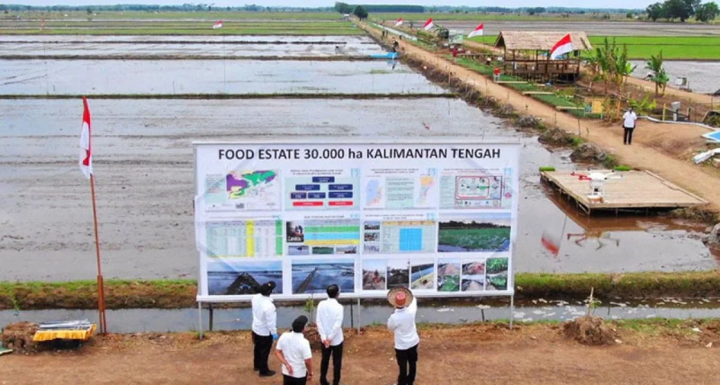 Food Estate Wanam Papua Selatan Tidak Terkait dengan Film Pesta Babi