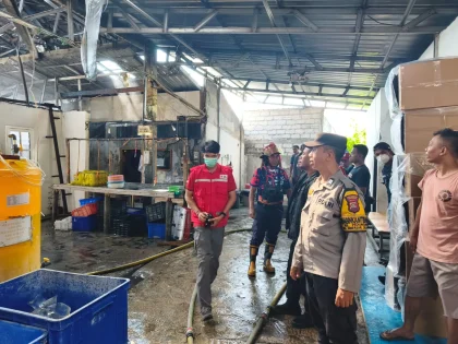 Gudang Ikan Hias PT Aqua First Bali Ludes Terbakar, Polisi Ungkap Penyebab