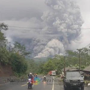 Gunung Semeru Erupsi, Muntahkan Awan Panas Guguran di Malam Hari