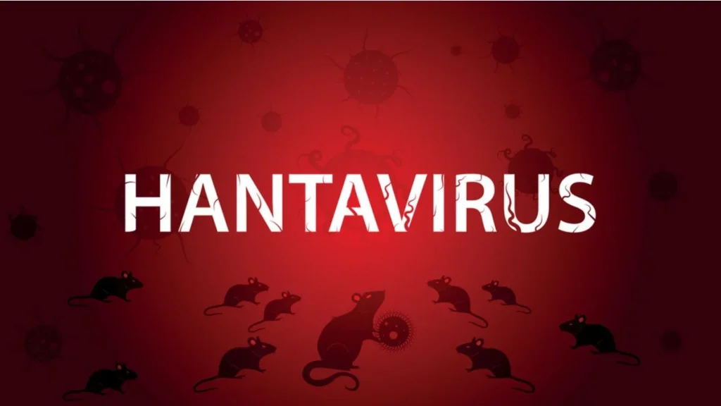 Hantavirus Lagi Ramai Dibahas, Apakah Bisa Jadi Seperti COVID-19?