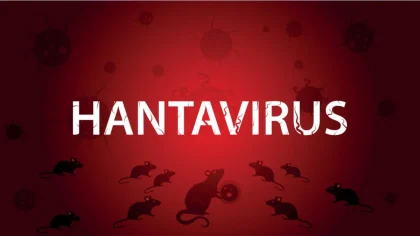 Hantavirus Lagi Ramai Dibahas, Apakah Bisa Jadi Seperti COVID-19?