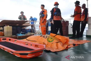 Hantavirus Membunuh di Kapal Pesiar, Spanyol Siaga dan Evakuasi