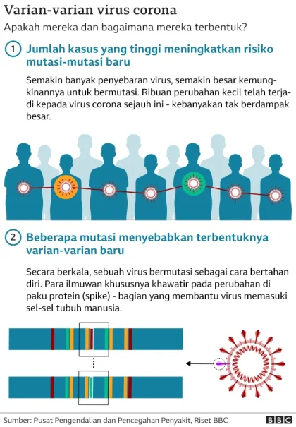 Hantavirus Tidak Berhubungan dengan Vaksin Covid, Ini Fakta