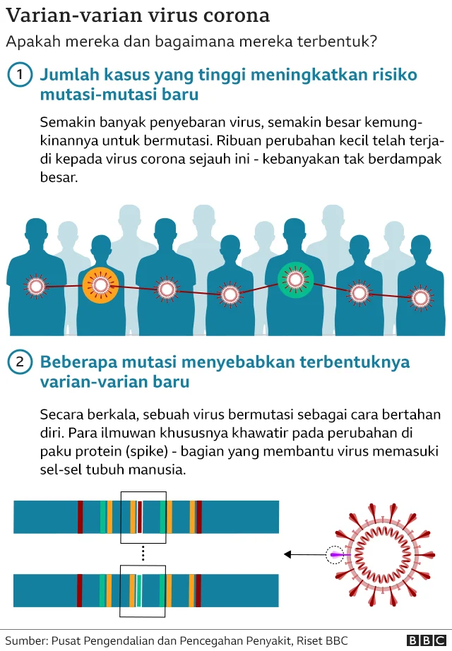 Hantavirus Tidak Berhubungan dengan Vaksin Covid, Ini Fakta
