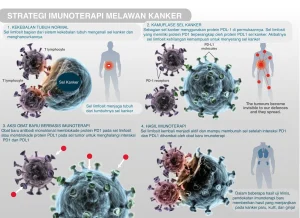Imunoterapi: Senjata Tubuh Mengatasi Kanker