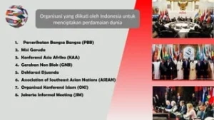 Indonesia Berkontribusi dalam 30 Misi PBB dan 5 Misi Non-PBB