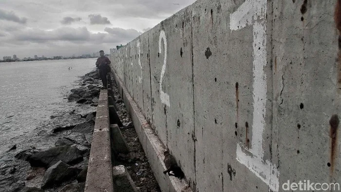 Indonesia Mengembangkan Projek Dinding Laut Raksasa untuk Melindungi Ekonomi