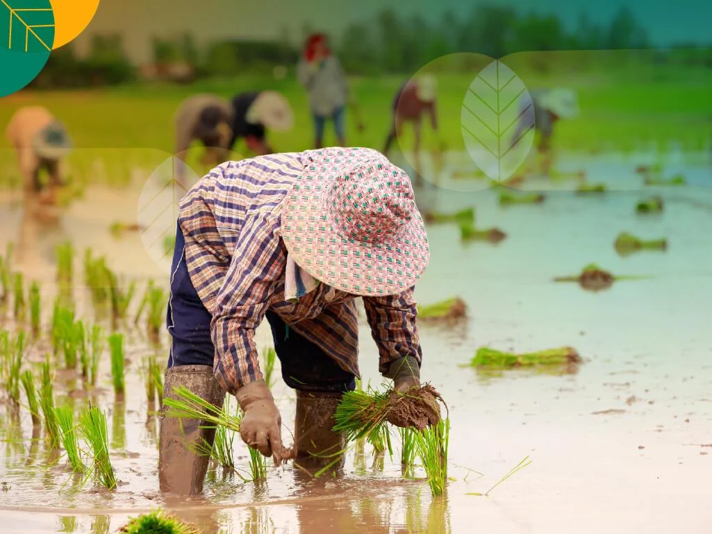 Indonesia Tidak Hanya Pasar, Tapi Basis Agrikultur Asia