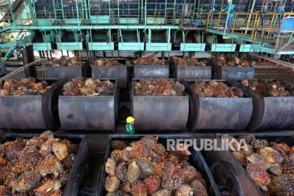 Indonesia Tidak Sia-sia Mencari Proses Penyelundupan Minyak Sawit