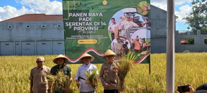 Inovasi Pertanian untuk Ketahanan Pangan Dipuji Presiden