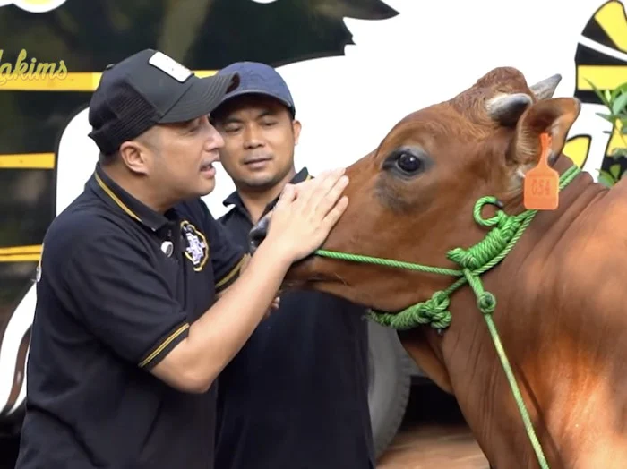 Irfan Hakim Banggakan Sapi Lokal untuk Kurban di Iduladha Tahun Ini