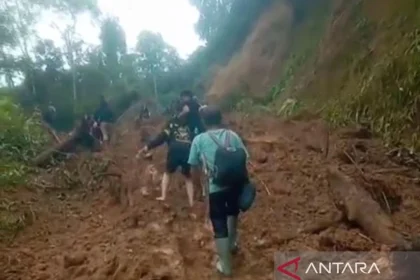 Jembatan Rusak dan Jalan Tertimbun Longsor, 250 Jiwa di Desa Koto Rawang Terisolasi