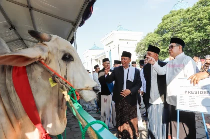 Jumlah Hewan Kurban di Kota Bogor Naik pada Iduladha Tahun Ini