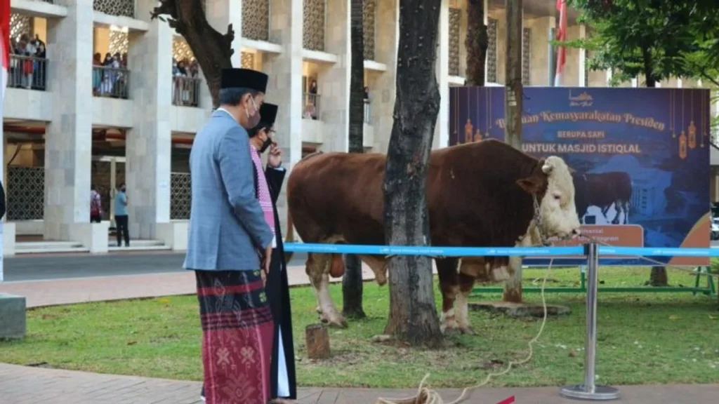 Jumlah Hewan Kurban di Masjid Istiqlal Meningkat