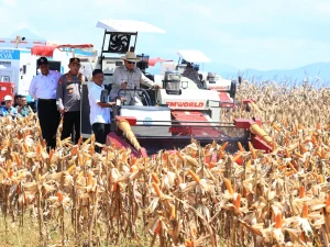 Kapolri Paparkan Hasil Panen Raya Jagung Di Hadapan Presiden Prabowo