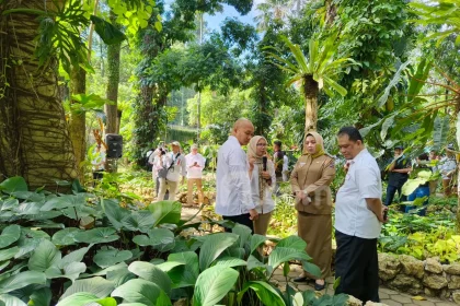 Kebun Raya Bogor Rayakan HUT ke-209 dengan Taman Araceae Baru