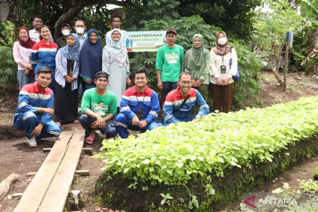 Kelompok Tani Kampung Bayam Jakut Tetap Lebih Baik Melalui Relasi