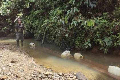Kemenhut Dalami Peredaran Kayu Ilegal dari TN Bukit Tiga Puluh