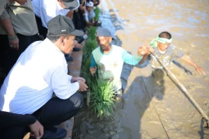 Kementan Kawal Rehabilitasi Sawah Pascabencana di Sumatera Barat