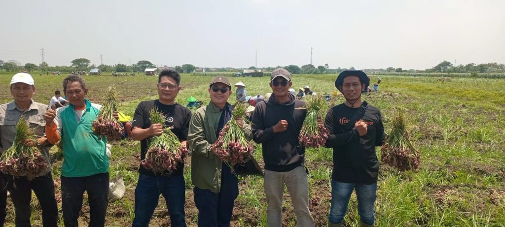 Kementan Perkuat Pengawasan Pasokan Bawang Merah Jelang Iduladha