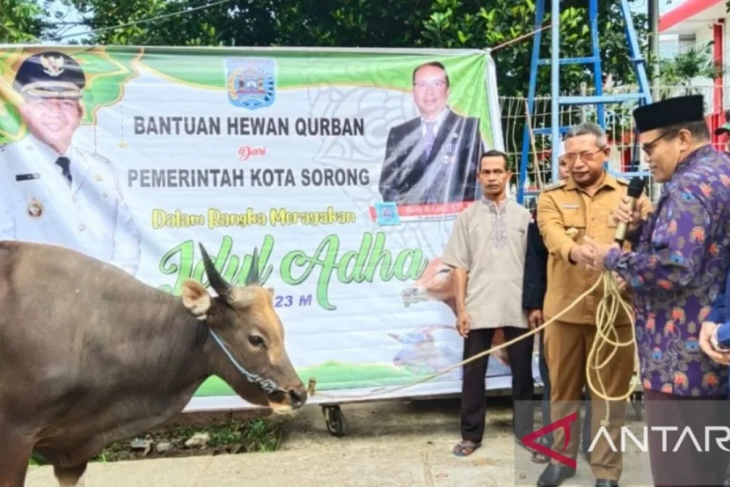 Kementerian Pendidikan Dasar dan Menengah Sumbang Sapi Kurban ke Masyarakat Sorong