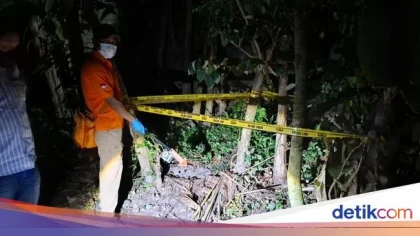 Kementerian PPPA Duga Adanya TPPO Dibalik Penemuan Belasan Bayi Sleman