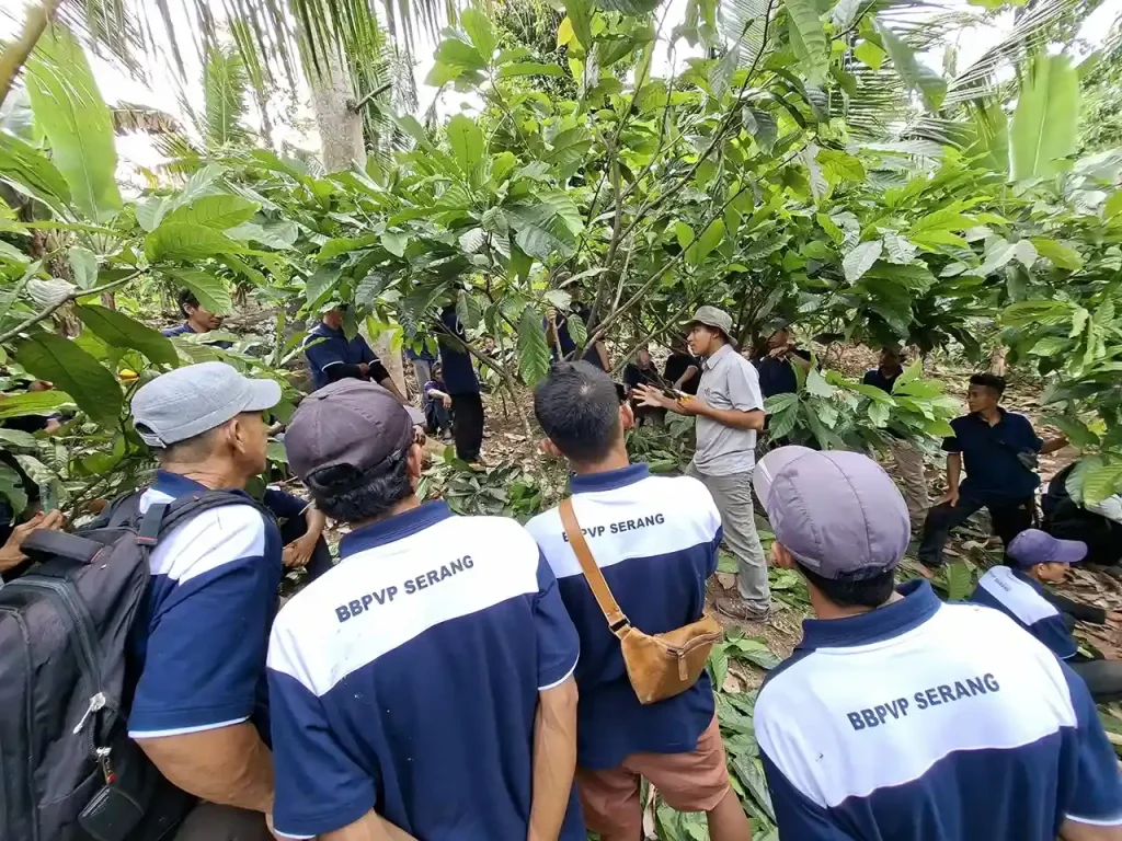 Kemnaker Luncurkan Program Agroforestri Terintegrasi di Garut untuk Tingkatkan Peluang Kerja