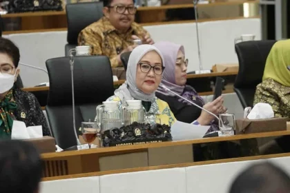 Komisi IV DPR Minta Publik Optimistis Soal Swasembada Pangan