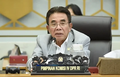 Komisi IV DPR: PSN Wanam untuk Ketahanan Pangan Jangka Panjang